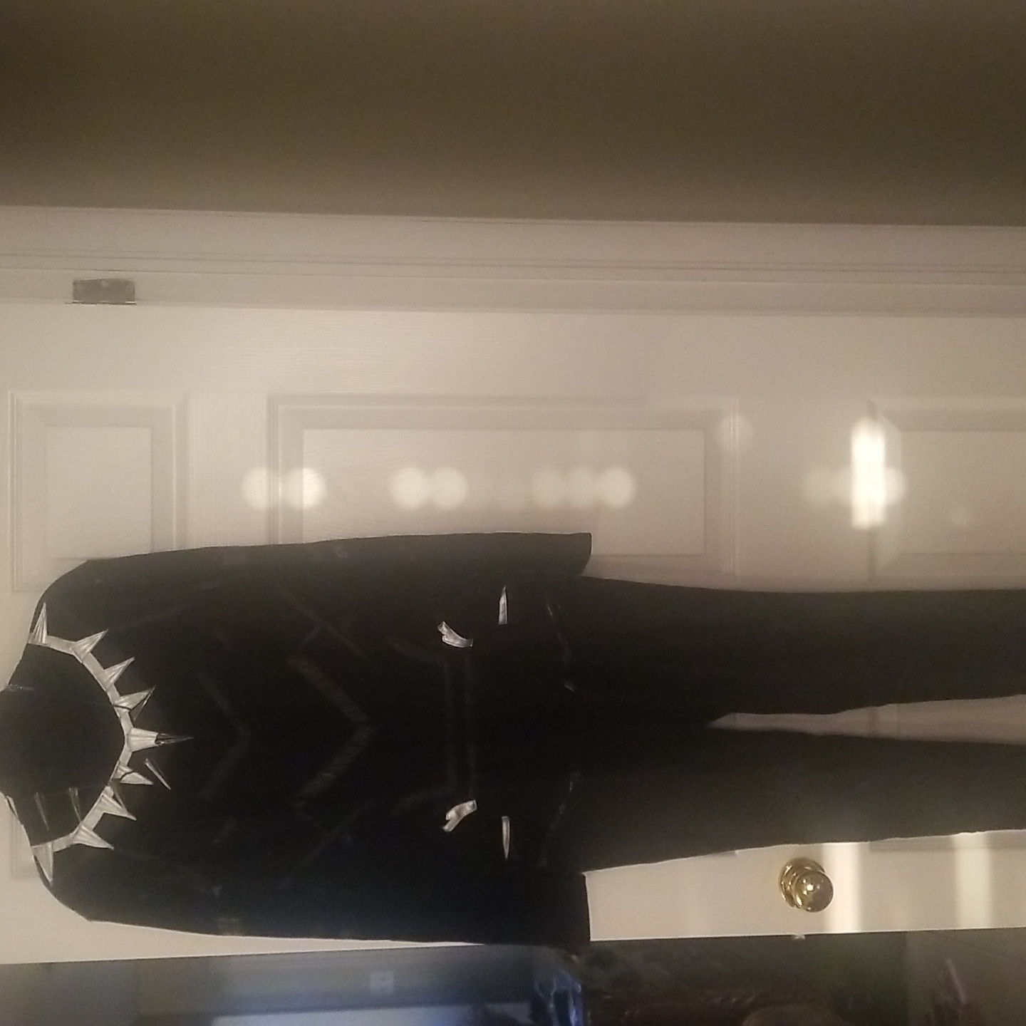 Black Panther Costume Cosplay - Black Panther
